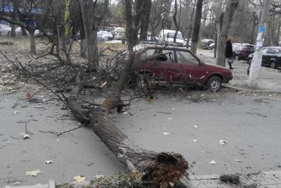 Прикрепленное изображение: 78108512_196347088061293_2259425708507922432_o.jpg